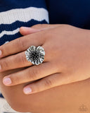 September 2024 Glimpses of Malibu Complete Trend Blend ~ Paparazzi Fashion Fix Set