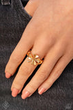 March 2024 Sunset Sightings Complete Trend Blend ~ Paparazzi Fashion Fix Set