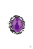 Stone Terrarium - Purple ~ Paparazzi Ring - Glitzygals5dollarbling Paparazzi Boutique 