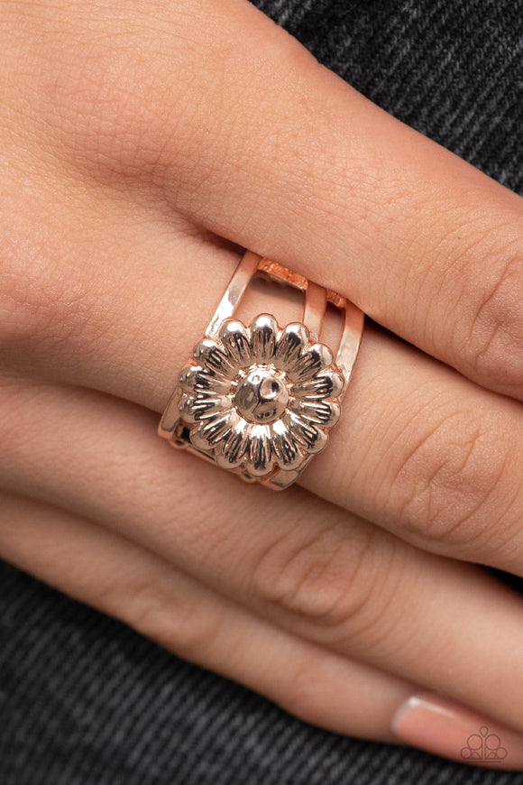 Roadside Daisies - Rose Gold ~ Paparazzi Ring - Glitzygals5dollarbling Paparazzi Boutique 