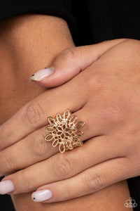 Coastal Chic - Gold ~ Paparazzi Ring - Glitzygals5dollarbling Paparazzi Boutique 