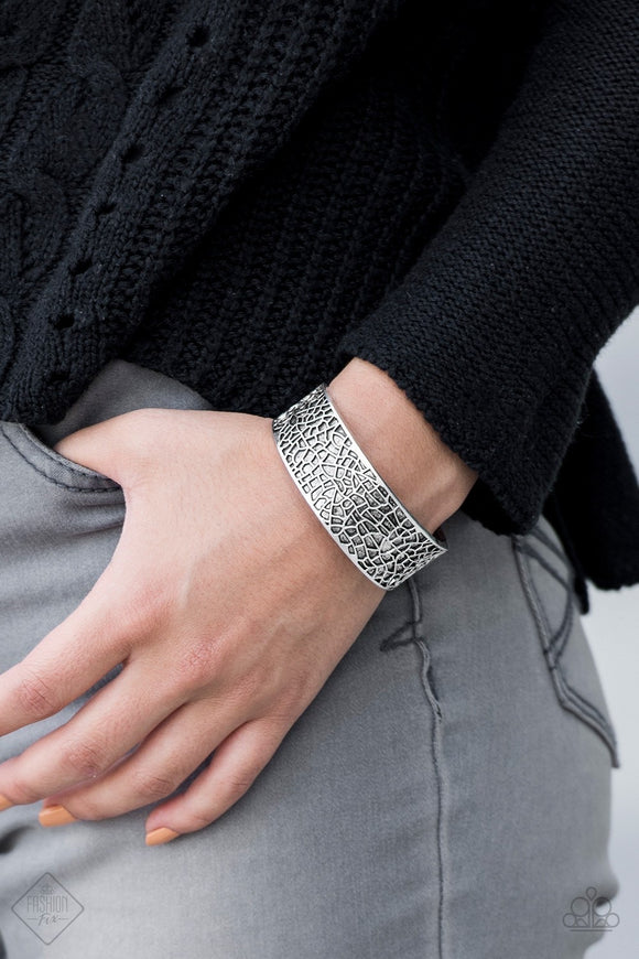 Paparazzi “Nature Mood” Silver Cuff Fashion Fix Bracelet - Glitzygals5dollarbling Paparazzi Boutique 